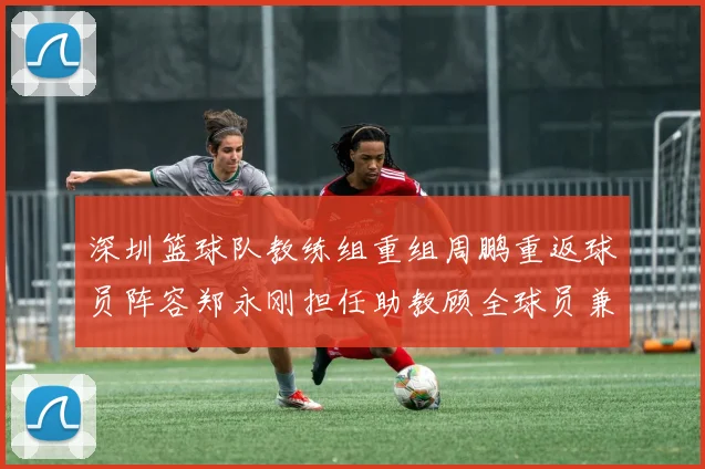 深圳篮球队教练组重组周鹏重返球员阵容郑永刚担任助教顾全球员兼任助教