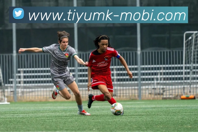 多媒体互动体验